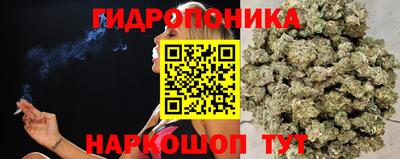 дмт Ипатово